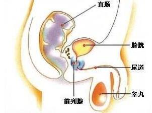 ҽ��ǰ�����ײ���ʱ�������Բ���