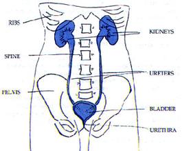 ƽʱ�����Ԥ�����׽�ʯ�ķ���