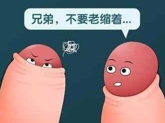 ʲô�ǰ�Ƥ������