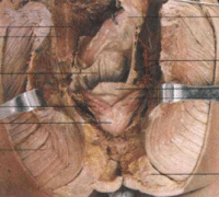 ǰ���������Ԥ���ȽϺ�