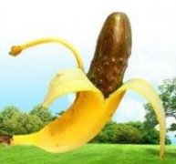 ��Ƥ��ͷ�׵����֢״����