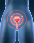 ���������ô�������