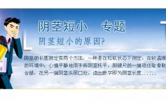 ��������������С������