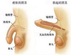 ʲôԭ�����������侫�ϰ���