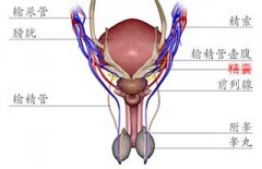 ��ôȥ���־�����