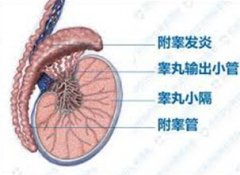 �ճ������д��Ӧ�����Ԥ��غ����