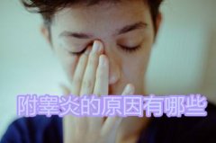 ��غ�׵�4����