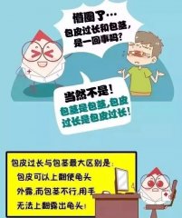 ��Ƥ������Σ����ʲô