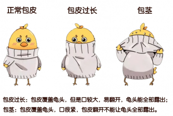 ������Ƥ������