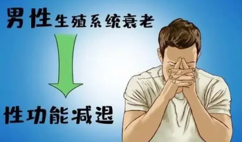 ���˲��������������